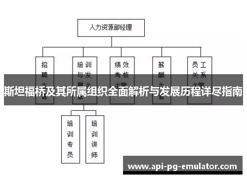 斯坦福桥及其所属组织全面解析与发展历程详尽指南
