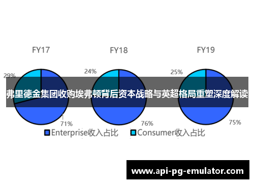 弗里德金集团收购埃弗顿背后资本战略与英超格局重塑深度解读
