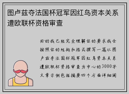 图卢兹夺法国杯冠军因红鸟资本关系遭欧联杯资格审查