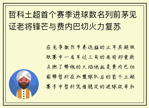 哲科土超首个赛季进球数名列前茅见证老将锋芒与费内巴切火力复苏